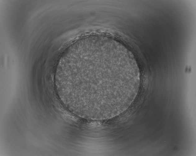 X0000111581489200908271023