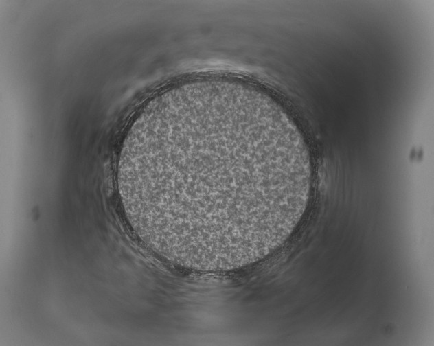 X0000111581493200908271023