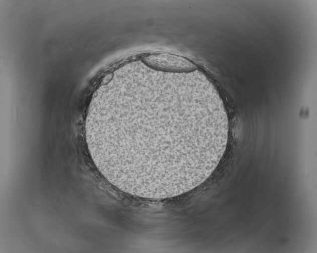 X0000111581495200908271023