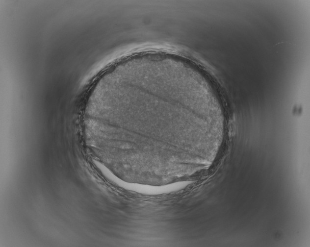 X0000111581496200908271023