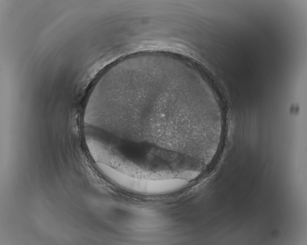 X0000111581497200908271023