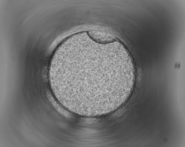 X0000111581499200908271023