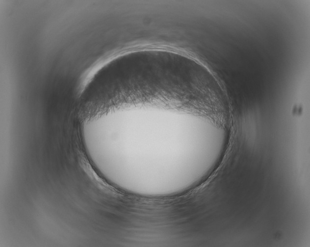 X0000111581503200908271023