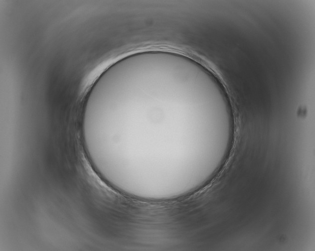 X0000111581504200908271023