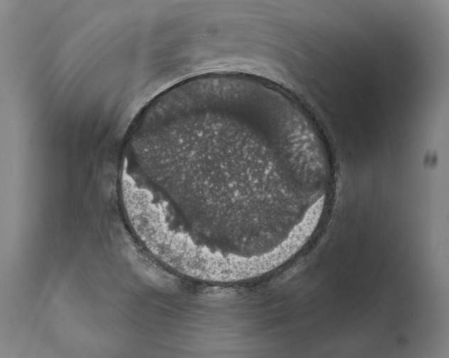 X0000111581505200908271023