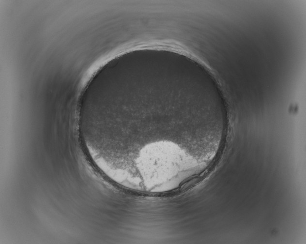 X0000111581506200908271023