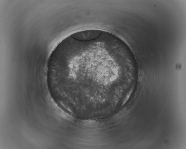 X0000111581508200908271023