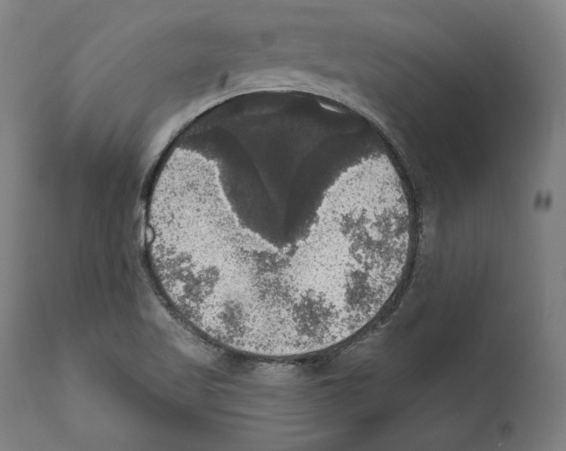 X0000111581509200908271023