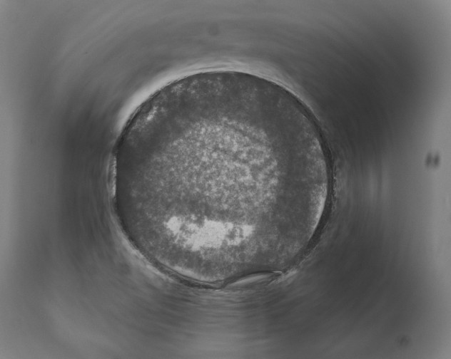 X0000111581510200908271023