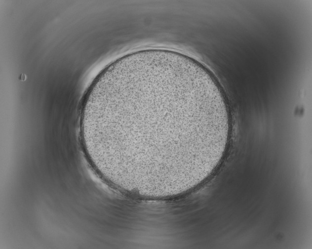 X0000111581511200908271023