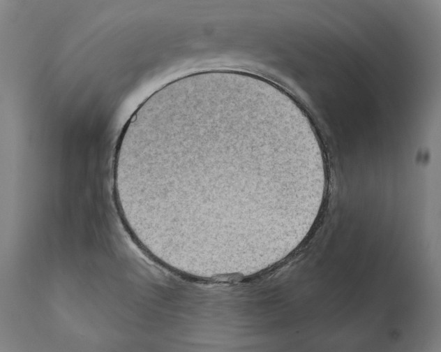 X0000111581512200908271023