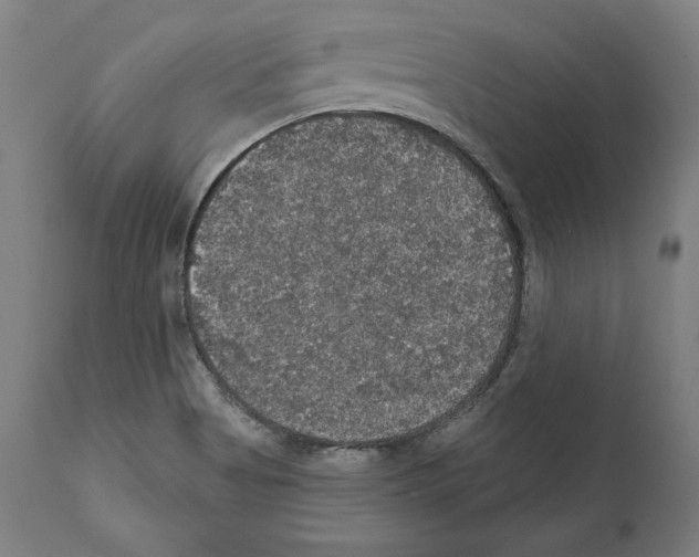 X0000111581513200908271023