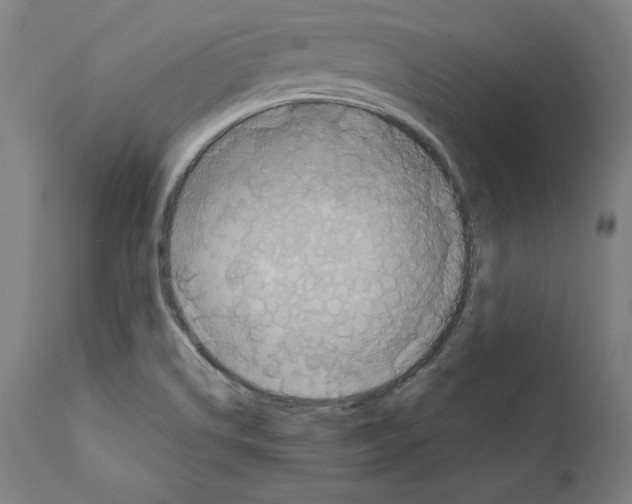 X0000111581514200908271023