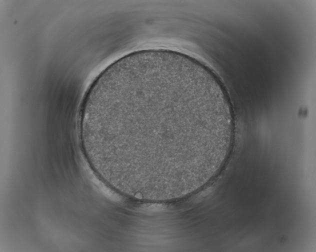 X0000111581517200908271023