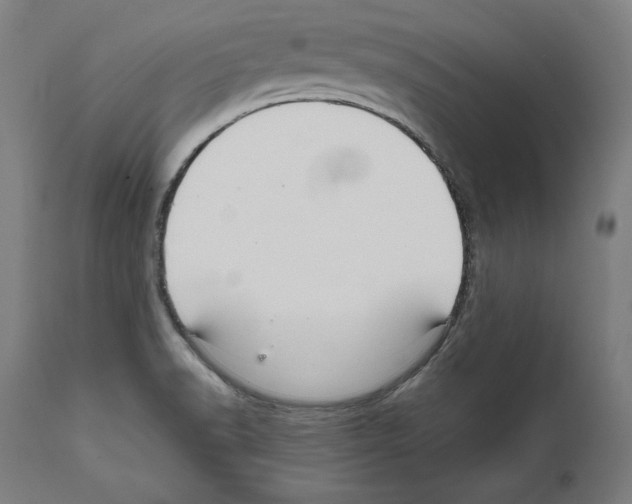 X0000111581518200908271023