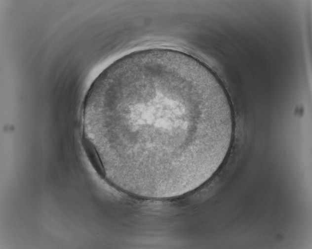 X0000111581520200908271023