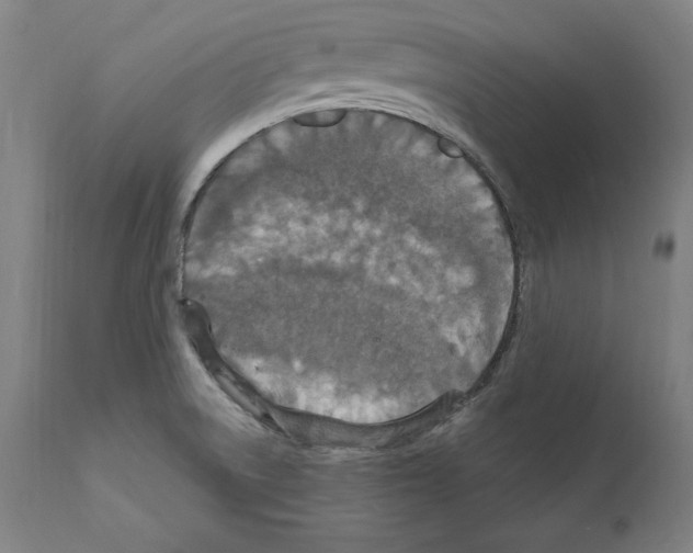 X0000111581522200908271023