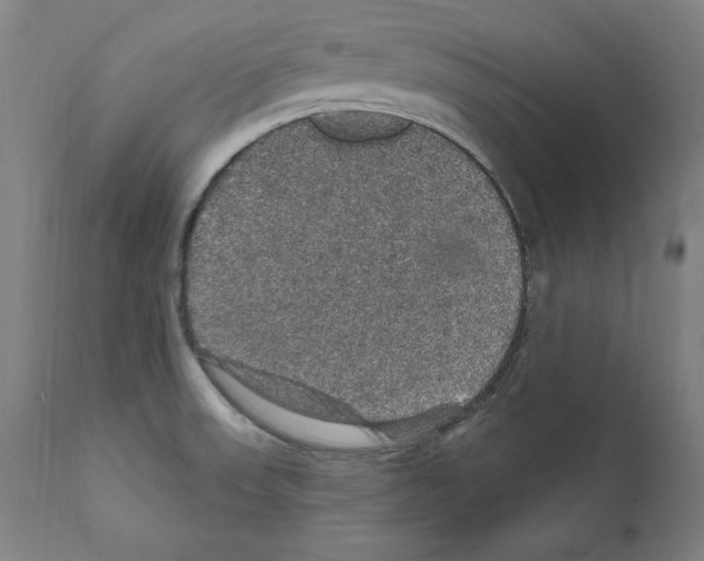 X0000111581523200908271023