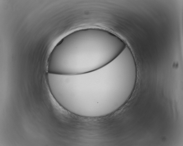 X0000111581524200908271023