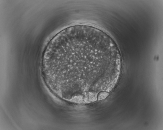 X0000111581525200908271023