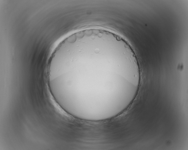 X0000111581526200908271023