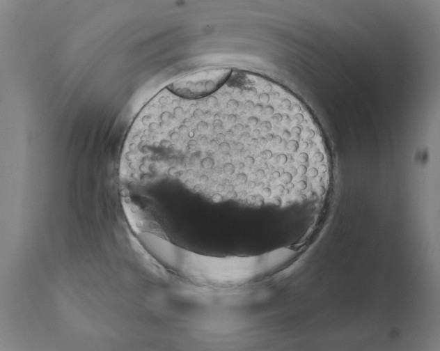 X0000111581529200908271023