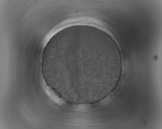 X0000111581530200908271023