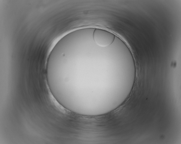 X0000111581532200908271024