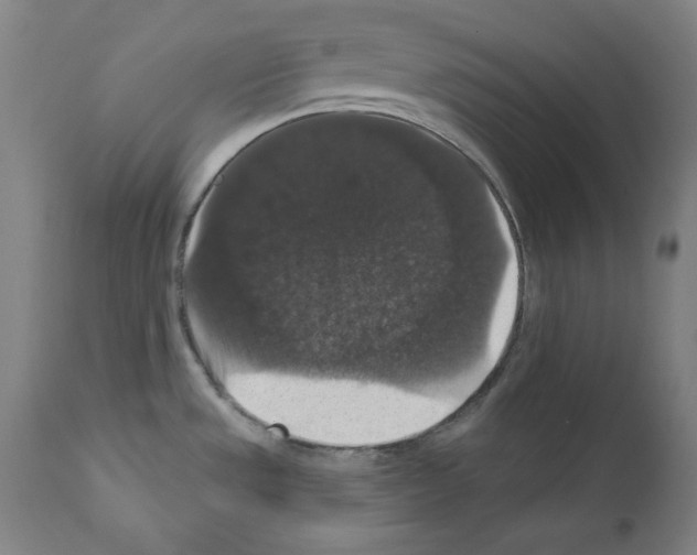 X0000111581533200908271024