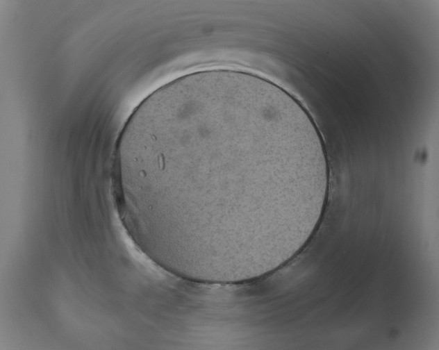 X0000111581534200908271024