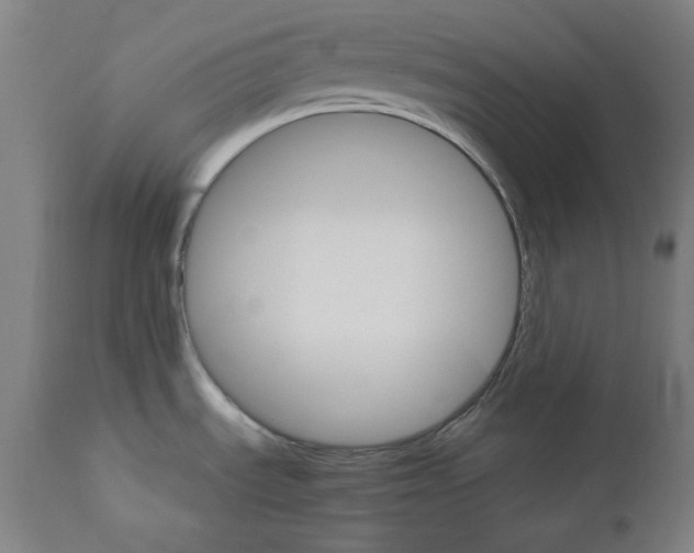 X0000111581535200908271024