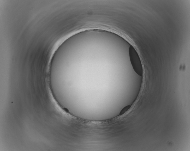 X0000111581536200908271024