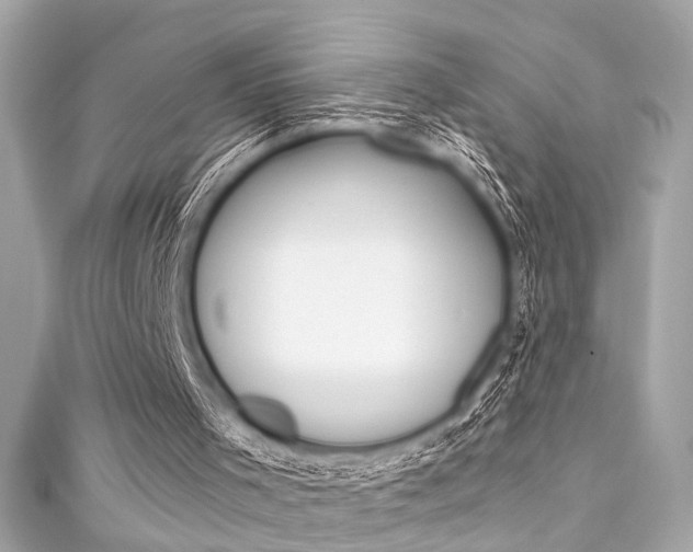 X0000111590001200907161202