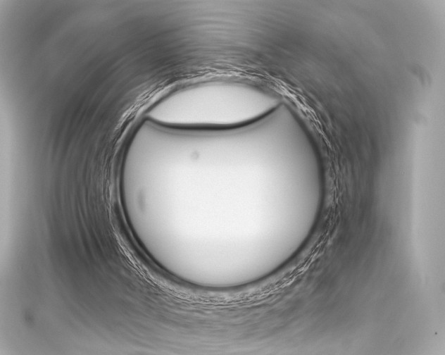 X0000111590002200907161202