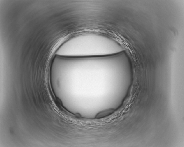 X0000111590003200907161202