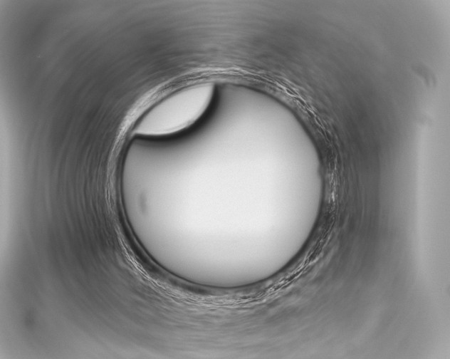 X0000111590004200907161202