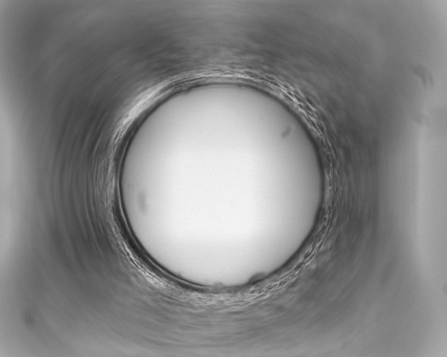 X0000111590005200907161202