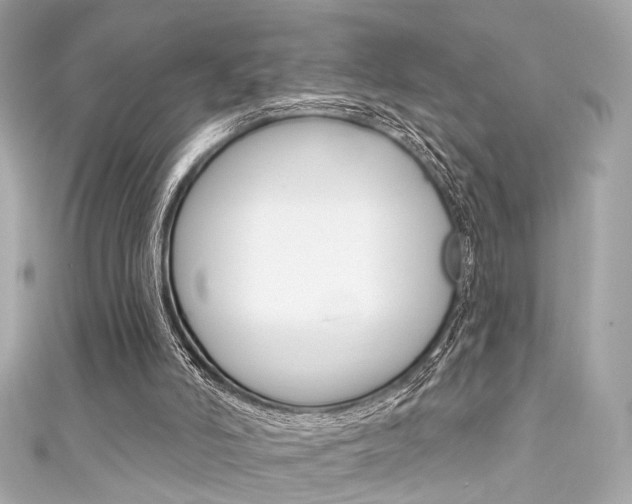 X0000111590006200907161202