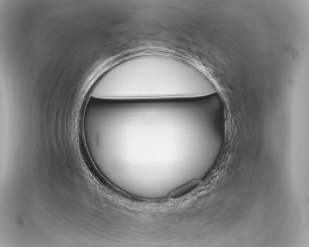 X0000111590007200907161202