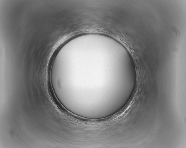 X0000111590008200907161202