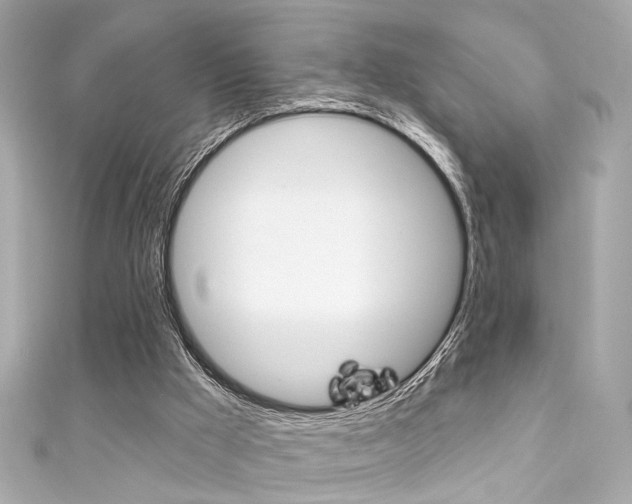 X0000111590009200907161202