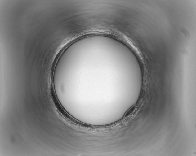 X0000111590011200907161202