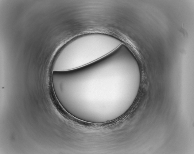 X0000111590012200907161202