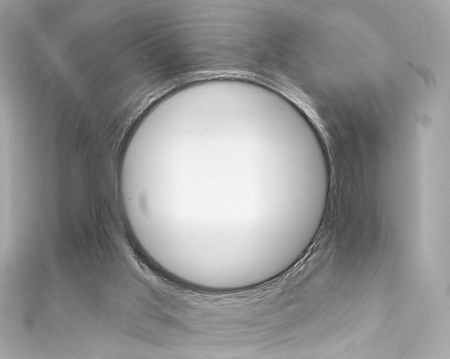 X0000111590013200907161202