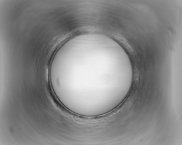 X0000111590014200907161202