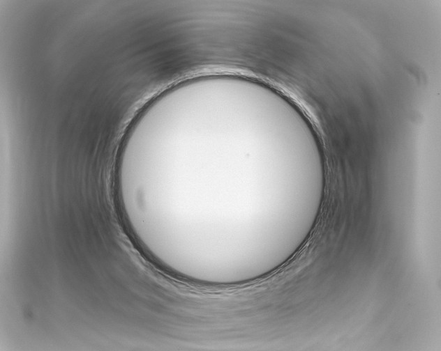 X0000111590015200907161202