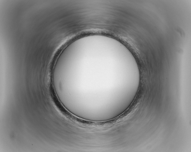 X0000111590016200907161202