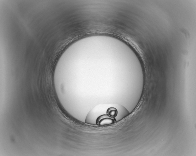 X0000111590017200907161202