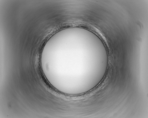 X0000111590018200907161202