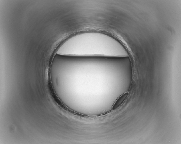 X0000111590019200907161202